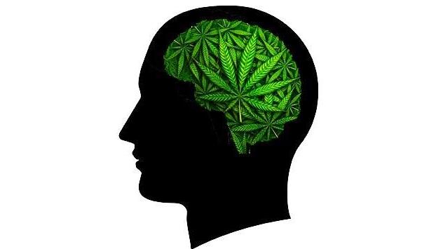 CURRENT AND FREQUENT CANNABIS USERS NEEDED FOR AN ATTENTION AND COORDINATION STUDY