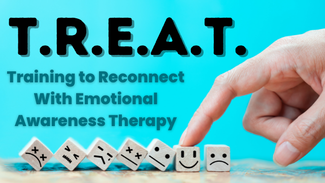 Training to Reconnect With Emotional Awareness Therapy (TREAT)